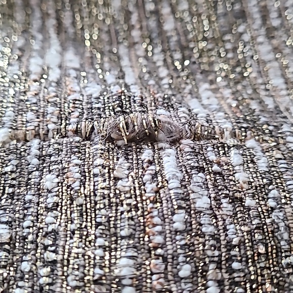 Zara metallic blazer size XS - Picture 8 of 9